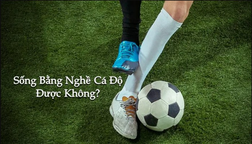 Có nên sống bằng nghề cá độ bóng đá không?